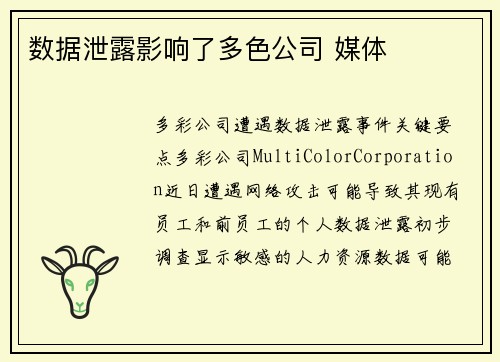 数据泄露影响了多色公司 媒体